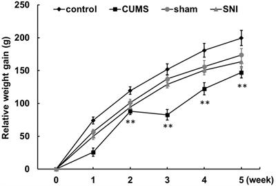 Chronic Psychological Stress, but Not Chronic Pain Stress, Influences Sexual Motivation and Induces Testicular Autophagy in Male Rats